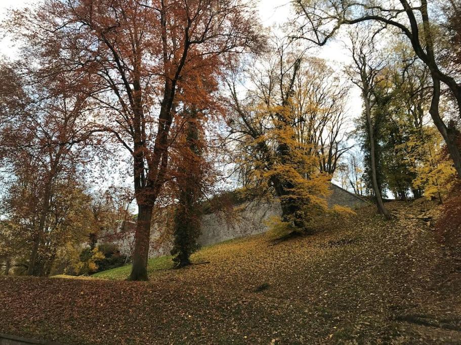 8 Pers 10' A Pied Du Centre:le Savoie Namur